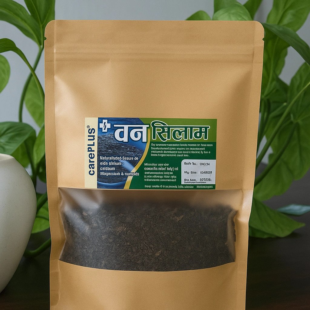 Careplus Wild Basil(Bansilam) Seeds 1000gm – 100% Natural Superfood for Digestion, Hydration & Healthy Lifestyle | Rich in Fiber, Calcium & Omega-3